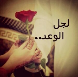 تحميل رواية لجل الوعد كامله PDF مجانا