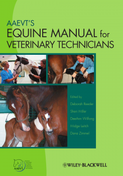 تحميل كتاب AAEVT’ S EQUINE MANUAL FOR VETERINARY TECHNICIANS PDF مجانا