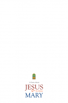 تحميل كتاب 11 FACTS ABOUT JESUS AND HIS MOTHER MARY IN BIBLICAL AND ISLAMIC TEACHINGS PDF مجانا