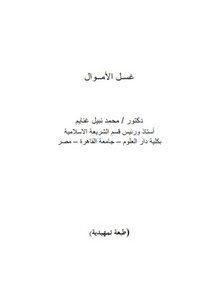 تحميل كتاب غسل الأموال PDF للمؤلف د محمد نبيل غنايم مجانا