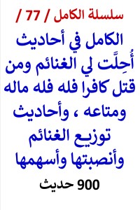 تحميل كتاب الكامل في أحاديث الغنائم وتوزيعها PDF عامر الحسيني مجانا