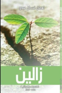 تحميل كتاب زالين PDF نعمان عبدو مجانا