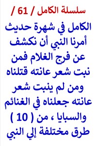 تحميل كتاب الكامل في شهرة احاديث من نبت شعر عانته قتلناه من 10 طرق مختلفة PDF عامر الحسيني مجانا