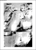 تحميل كتاب أبو سمبل PDF زاهي حواس مجانا