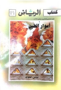 تحميل كتاب أسوار الطين PDF حسن العلوي مجانا