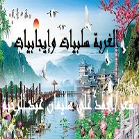 تحميل كتاب الغربة سلبيات وإيجابيات PDF أحمد علي سليمان عبد الرحيم مجانا