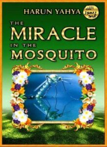غلاف كتاب the miracle in the mosquito
