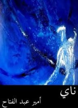 تحميل كتاب ناى PDF للمؤلف أمير عبد الفتاح مجانا
