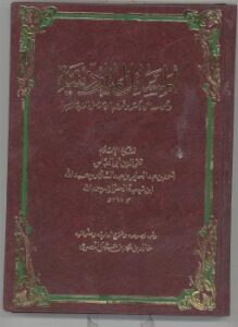 تحميل كتاب المسائل الماردينية PDF للمؤلف شيخ الإسلام ابن تيمية مجانا