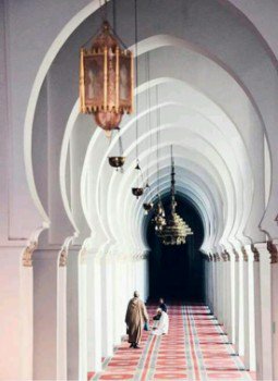 تحميل كتاب قلب حي PDF للمؤلف ءالآء إسماعيل مجانا