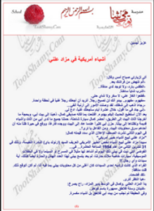 تحميل كتاب أشياء أمريكية في مزاد علني PDF للمؤلف عزيز نيسين مجانا