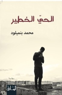 تحميل كتاب الحي الخطير PDF محمد بنميلود مجانا