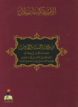 كتاب من واحة السنة والأدب مقدمتان للأمير في كتابي النقد التحليلي لكتاب في الأدب الجاهلي وقواعد التحديث في فنون مصطلح الحديث PDF