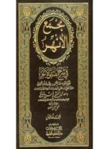 تحميل كتاب مجمع الأنهر في شرح ملتقى الأبحر PDF مجانا
