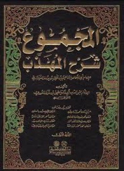 تحميل كتاب المجموع PDF للمؤلف الشيخ النووي مجانا