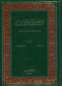 تحميل كتاب شرح ديوان الحماسة PDF للمؤلف الخطيب مجانا