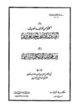 تحميل كتاب من فوائد أبي بكر الشاشي PDF للمؤلف أبو بكر الشاشي القفال الفارقي مجانا