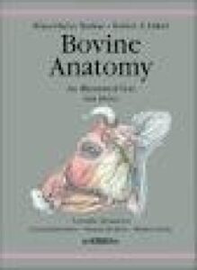 تحميل كتاب BOVINE ANATOMY AN ILLUSTRATED TEXT PDF مجانا