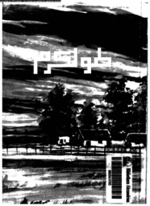 تحميل كتاب قصة مدينة طولكرم PDF للمؤلف على حسن مجانا