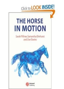تحميل كتاب THE HORSE IN MOTION PDF مجانا